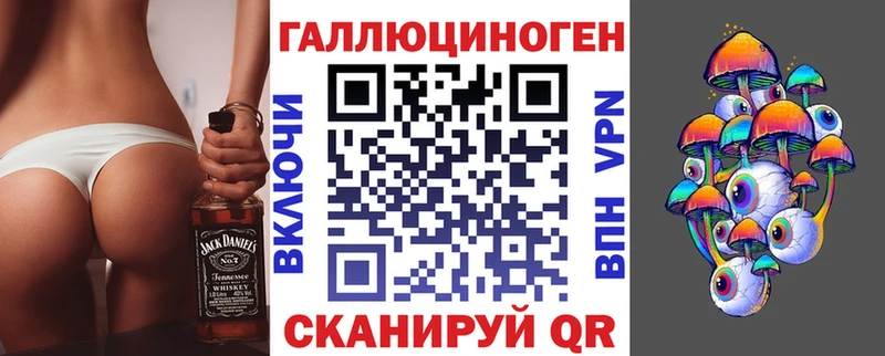 где купить   Рославль  Псилоцибиновые грибы Cubensis 